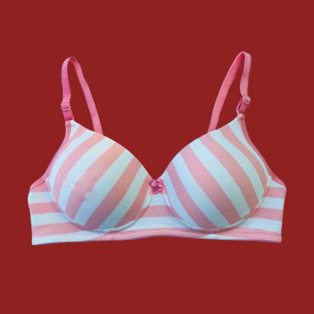 STREAK SEAMLESS BRA (A/B/C cup)