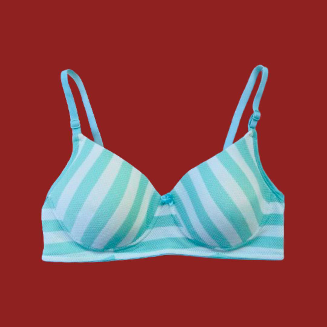 STREAK SEAMLESS BRA (A/B/C cup)